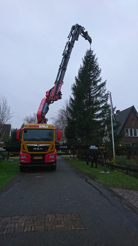 Kerstbomen plaatsen