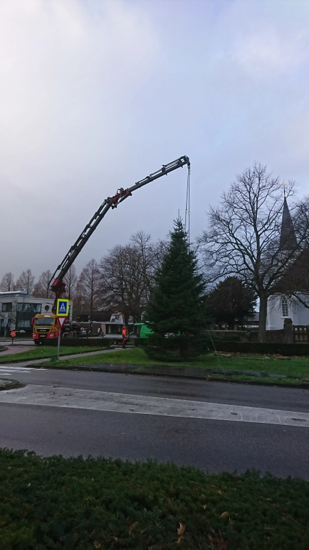 Kerstbomen plaatsen