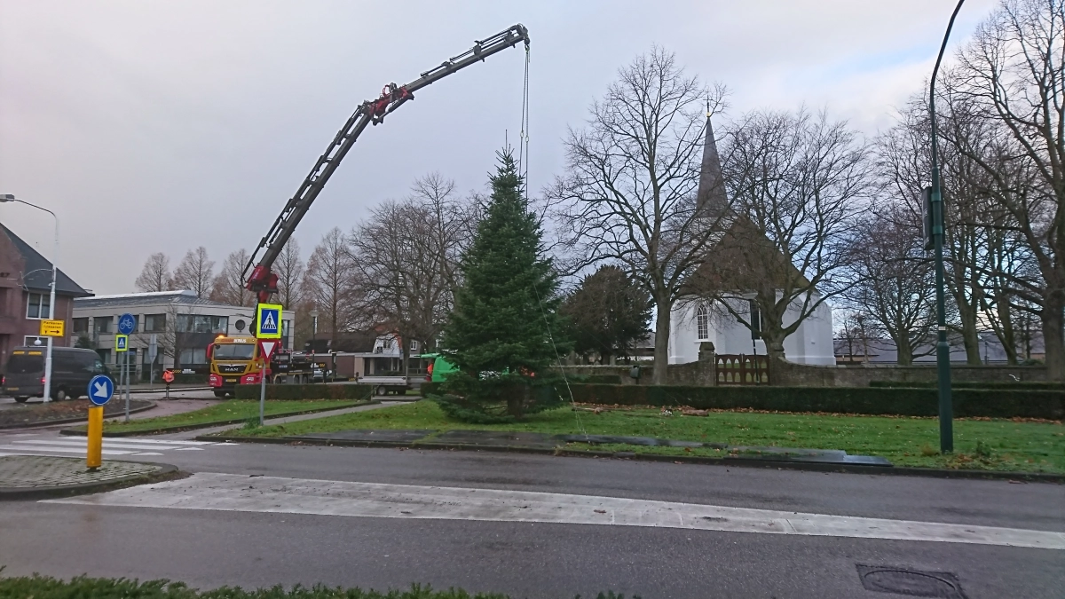 Kerstbomen plaatsen