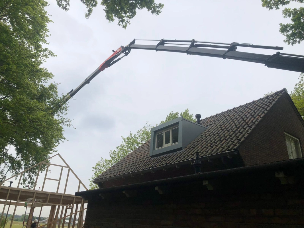 Boom uit tuin hijsen