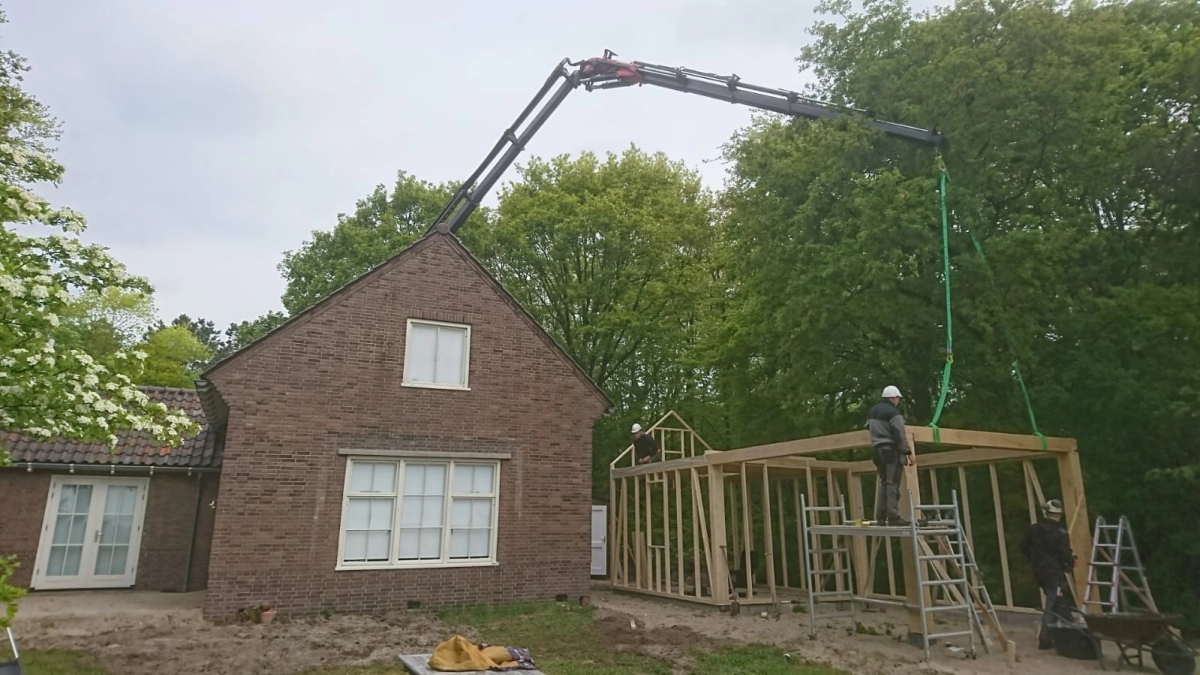 Boom uit tuin hijsen