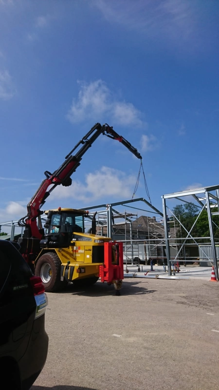 Boom uit tuin hijsen