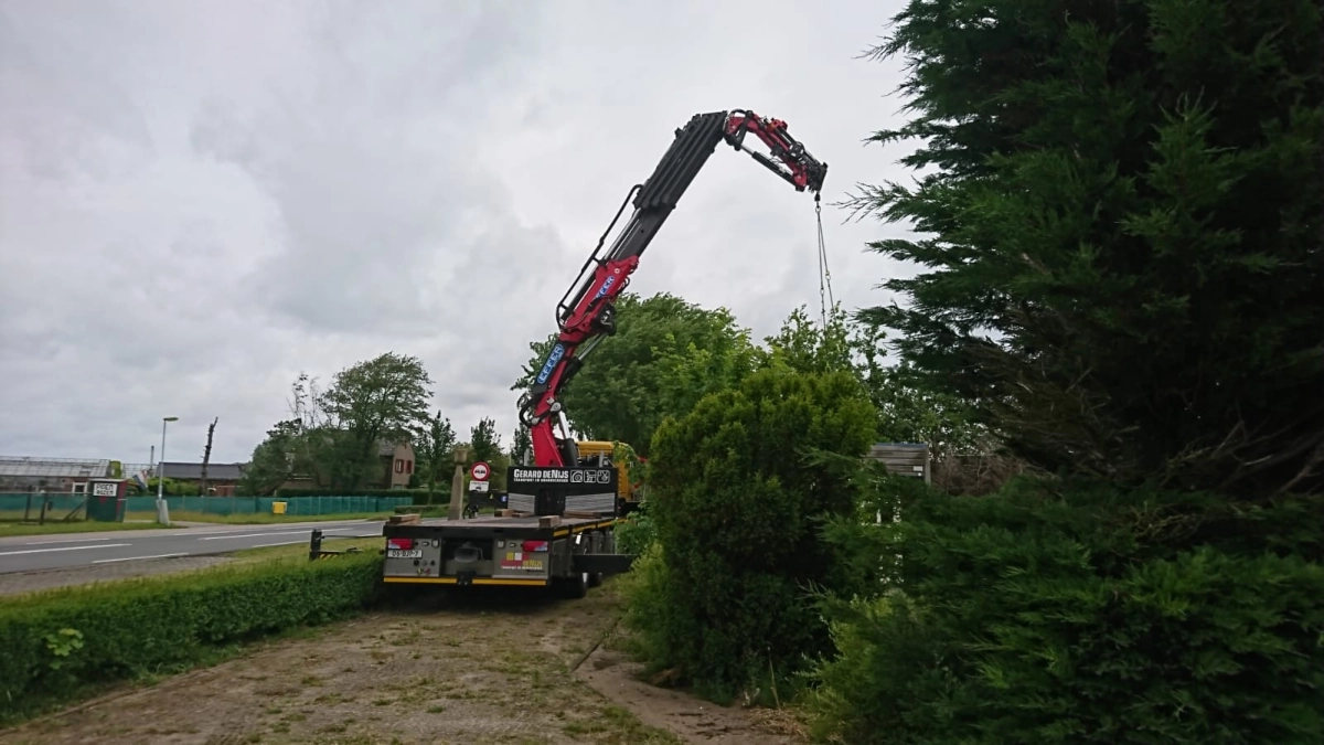 Boom uit tuin hijsen