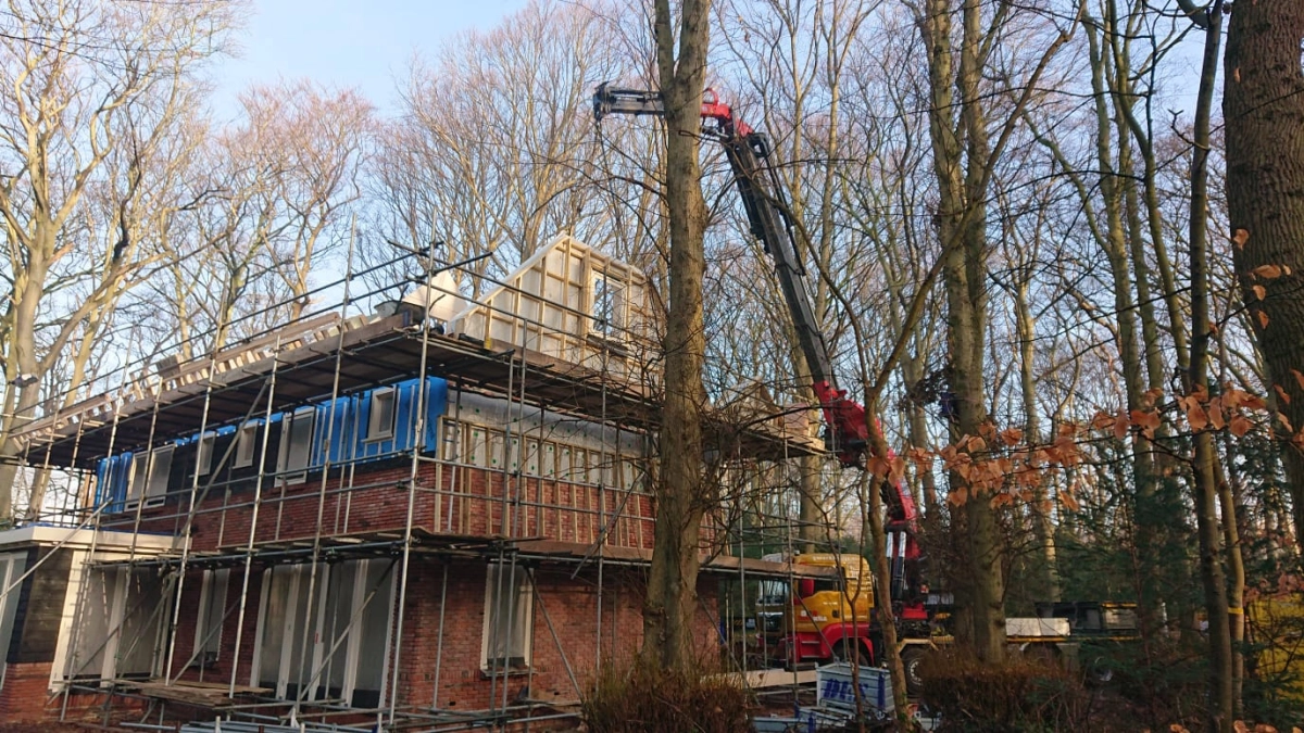 Boom uit tuin hijsen