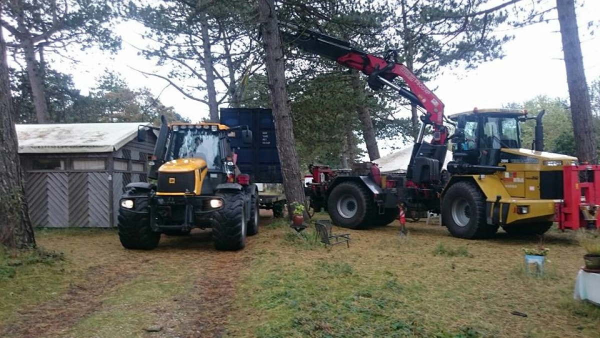 Boom uit tuin hijsen