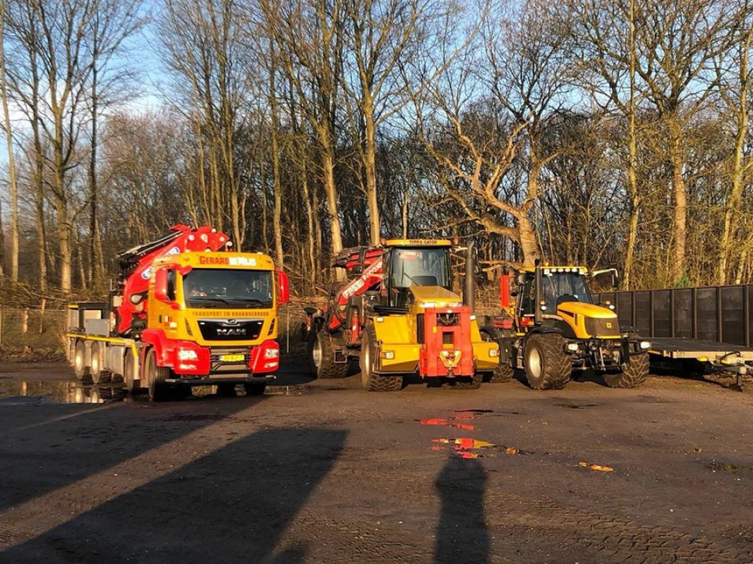 Boom uit tuin hijsen